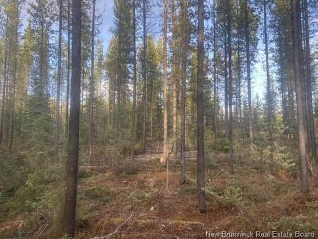 Land for sale in Penniac, New Brunswick