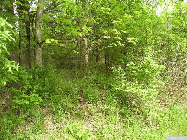 Land for sale in Ghent, New York