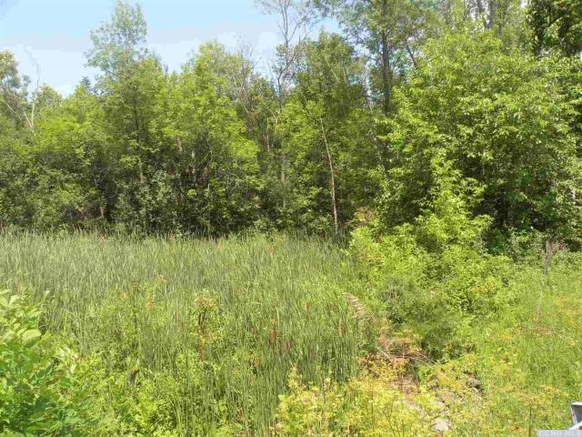 Land for sale in Coxsackie, New York