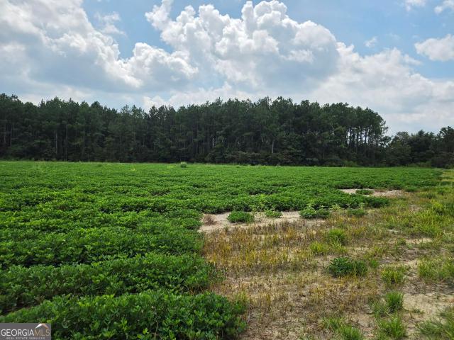 Land for sale in Fitzgerald, Georgia