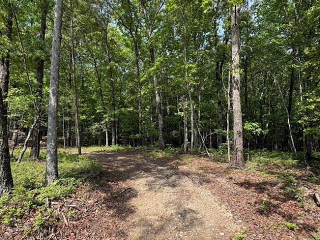 Land for sale in Haralson, Georgia