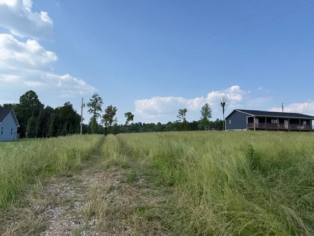 Land for sale in Bluff Springs, Middle Tennessee