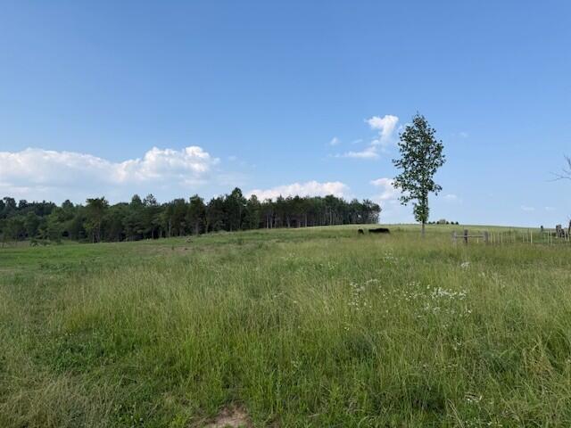 Land for sale in Bluff Springs, Middle Tennessee