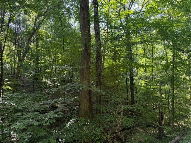 Land for sale in Tennessee