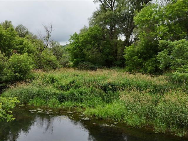 Land for sale in Franklinville, New York