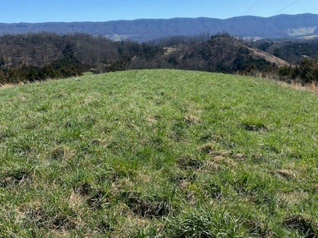 Land for sale in Virginia