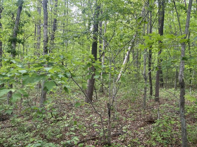 Land for sale in Tennessee