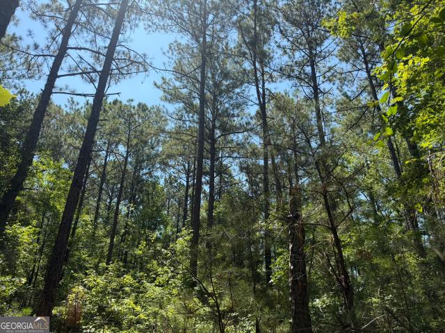 Land for sale in Elbert, Georgia
