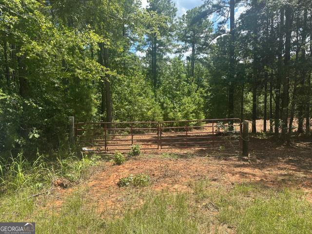 Land for sale in Elbert, Georgia