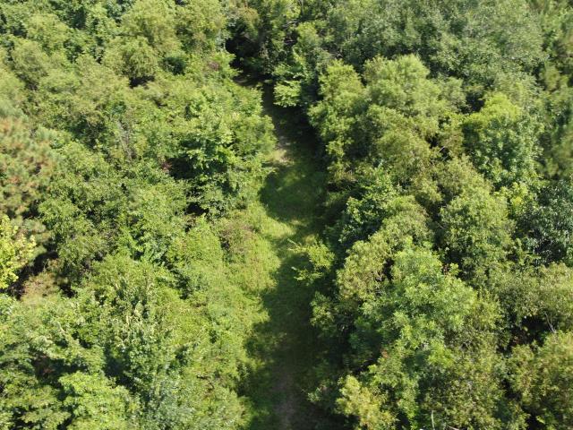 Land for sale in Ridgeville, South Carolina