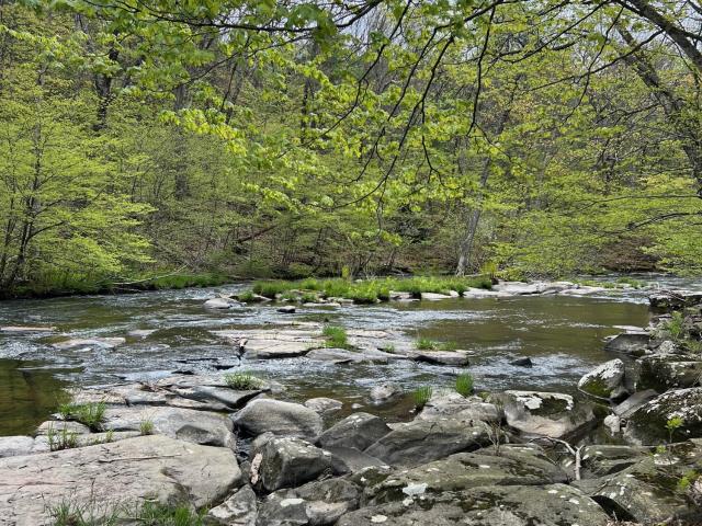 Land for sale in Acra, New York