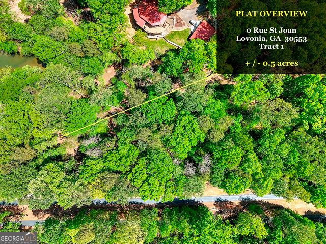 Land for sale in Lavonia, Georgia