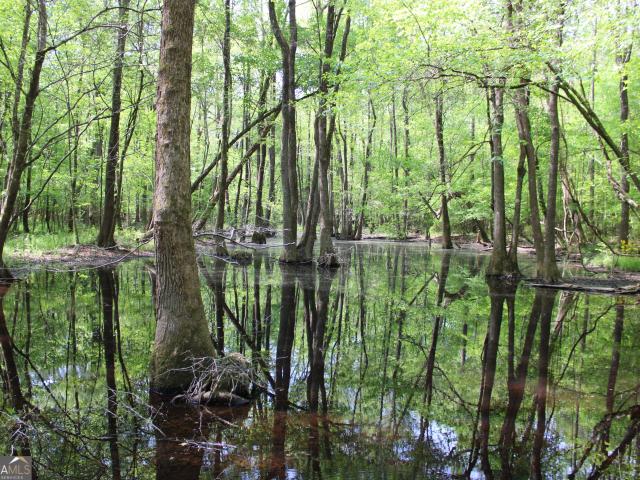 Land for sale in Barnesville, Georgia