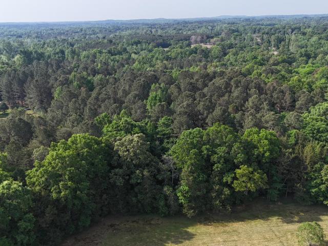Land for sale in Alamance, North Carolina