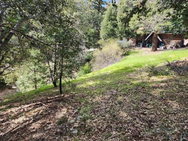 Land for sale in Cedarpines Park, California