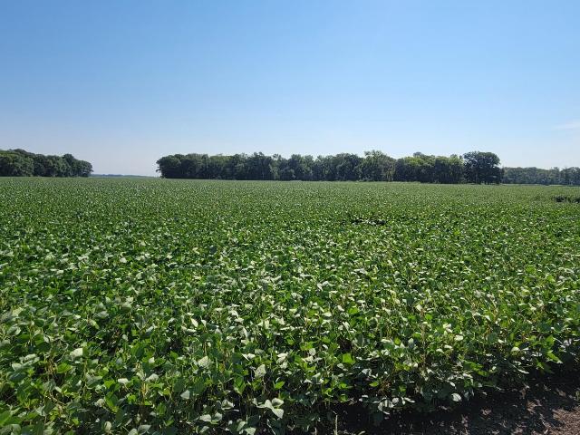 Land for sale in Oslo, Minnesota