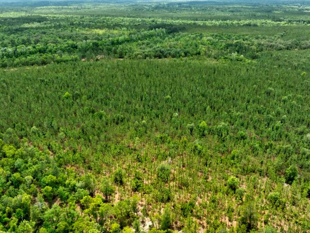 Land for sale in Glennville, Tattnall County