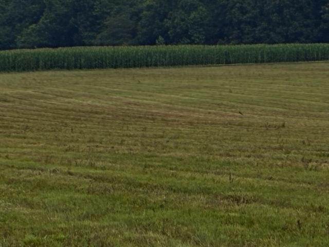 Land for sale in Tennessee