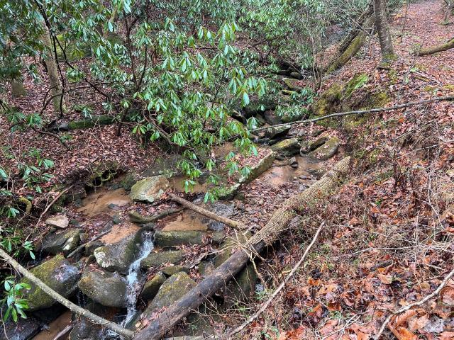 Land for sale in North Carolina