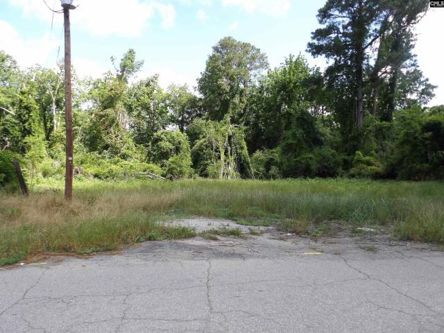 Land for sale in Batesburg