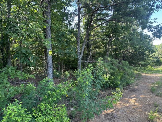 Land for sale in Tennessee
