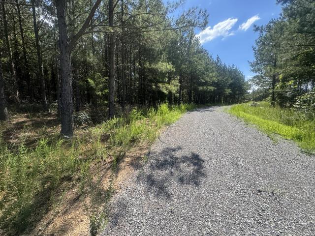 Land for sale in Tennessee