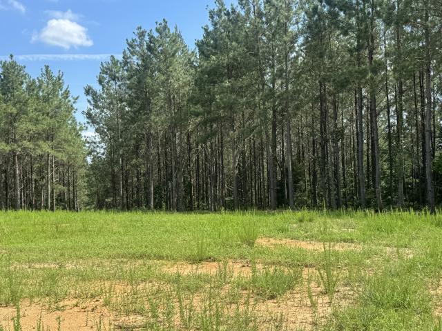 Land for sale in Tennessee