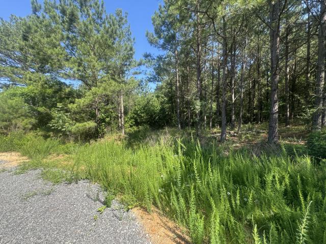 Land for sale in Tennessee