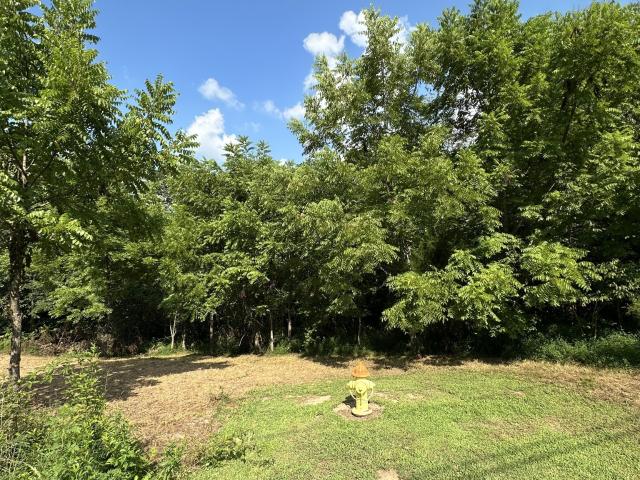 Land for sale in Tennessee