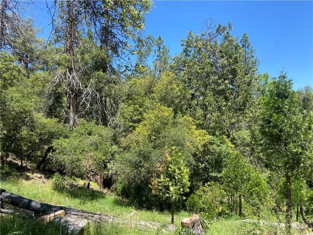 Land for sale in Oakhurst