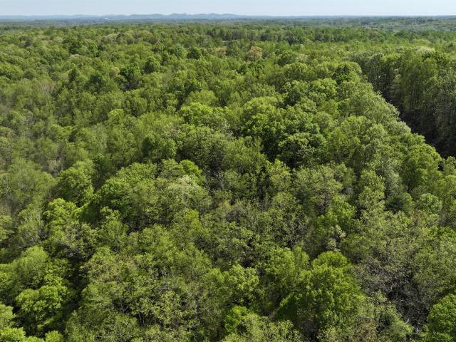 Land for sale in Virginia