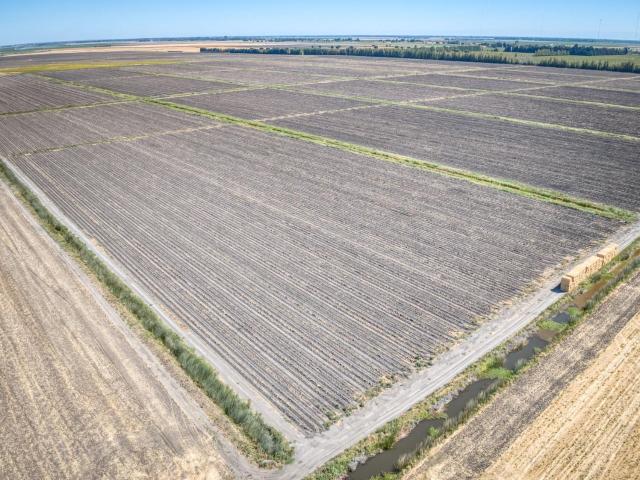 Land for sale in Walnut Grove, California