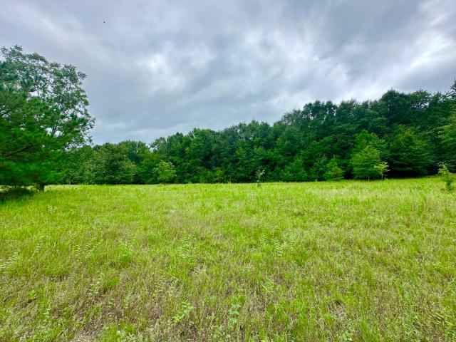 Land for sale in Waynesboro, Georgia