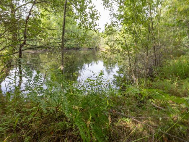 Land for sale in Michigan