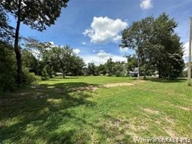 Land for sale in New Brockton, Coffee County