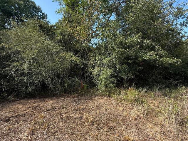 Land for sale in Bartow, Washington County