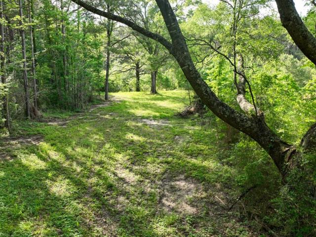 Land for sale in Osyka, Mississippi