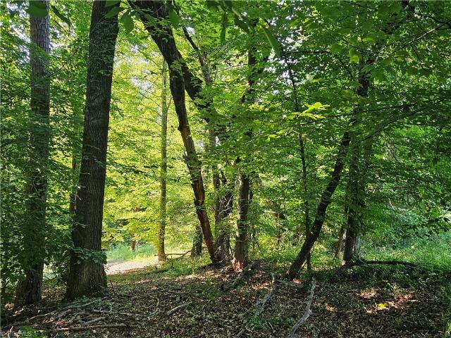 Land for sale in Elkin, North Carolina