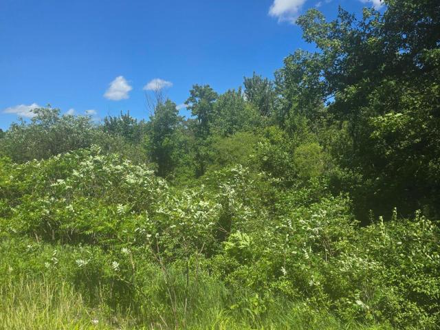 Land for sale in Eaton, Michigan