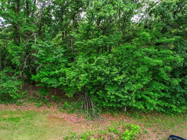 Land for sale in Virginia