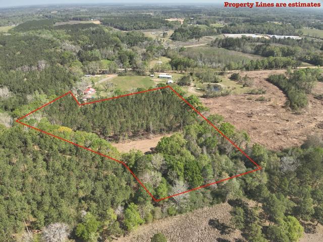 Land for sale in Geneva, Alabama