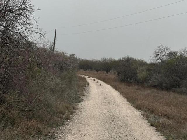 Land for sale in Kenedy, Texas