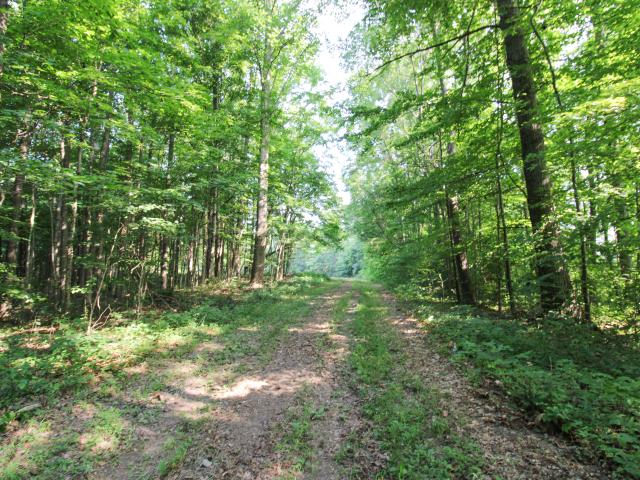 Land for sale in Indiana