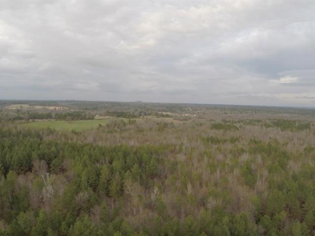 Land for sale in Kilgore, Texas