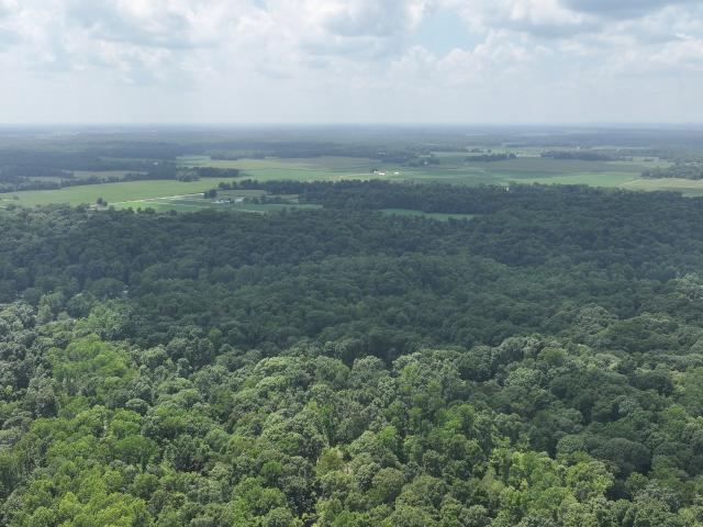 Land for sale in Brazil, Indiana