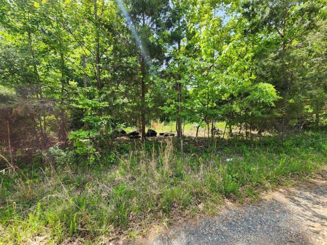 Land for sale in Virginia
