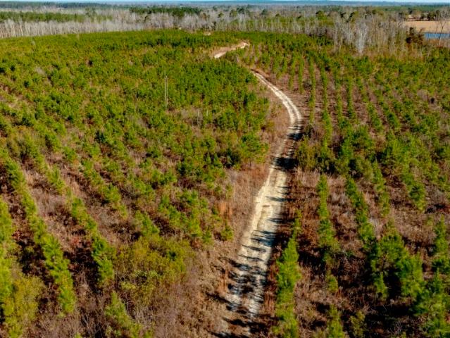 Land for sale in Glenwood, Georgia