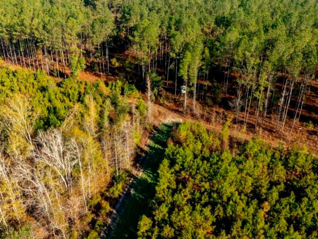Land for sale in Glenwood, Georgia