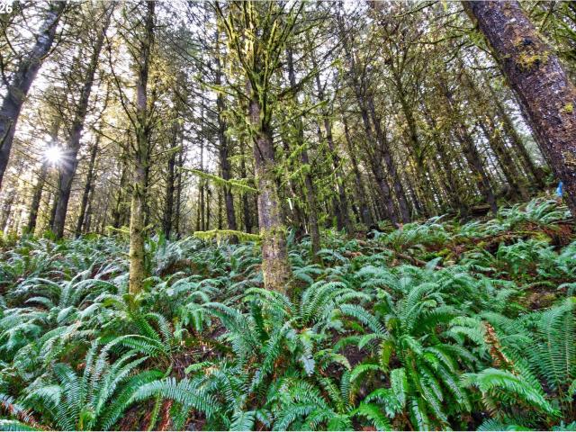Land for sale in Oregonia