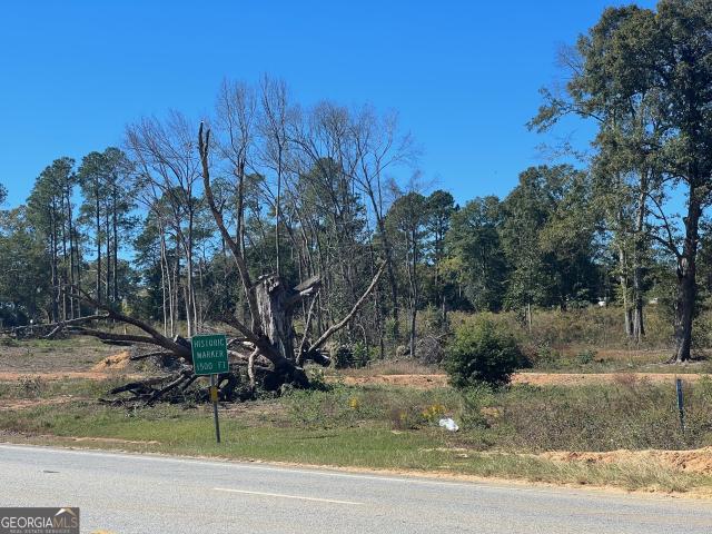 Land for sale in Eufaula, Alabama